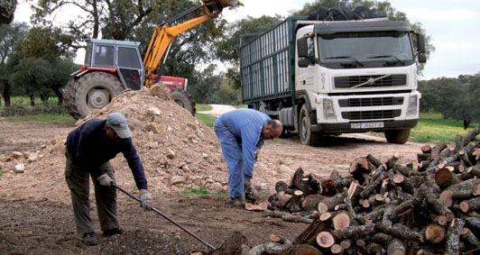 Transporte de leña