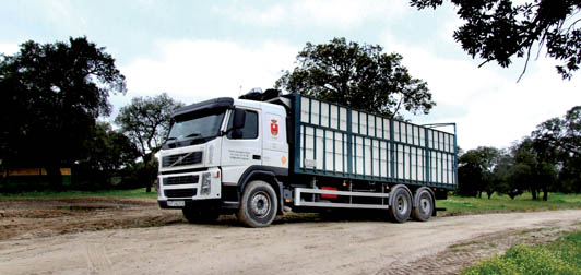 Volvo FM