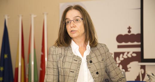 subdirectora de Análisis y Vigilancia Estadística de la DGT, Rosa Ramírez