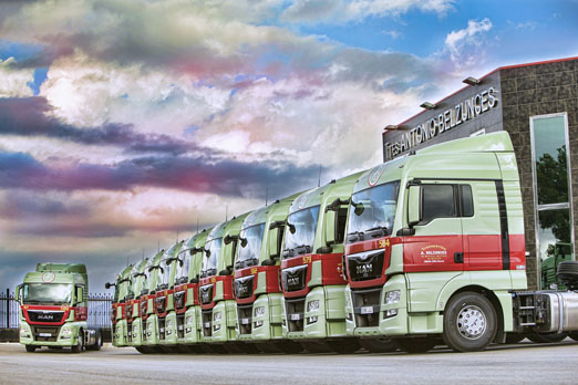 MAN TGX Efficientline 2