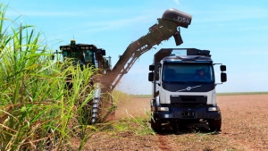 Volvo Trucks recogiendo caña de azúcar