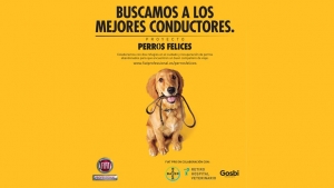 Proyecto Perros Felices de Fiat Professional