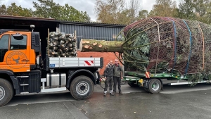 Mercedes Unimog cargando un árbol de Navidad