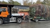 Mercedes Unimog cargando un árbol de Navidad
