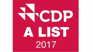 Lista CDP