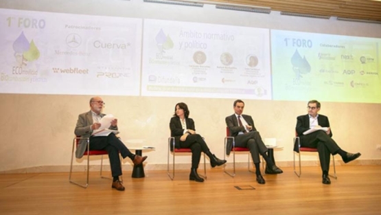 Mesa 4 del Foro de Biocombustibles y Electromovilidad organizado por DIFUNDALIA