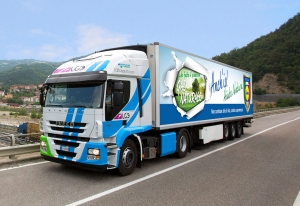 Stralis Natural Power GNL