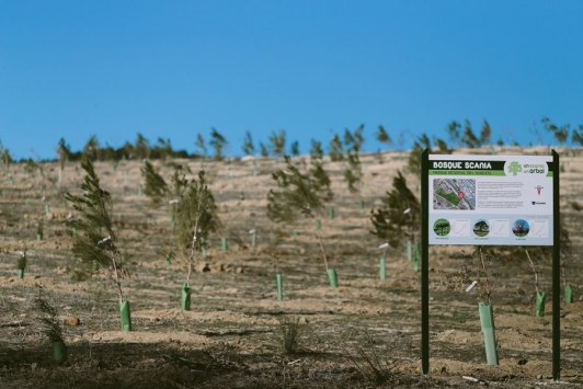 Bosque Scania