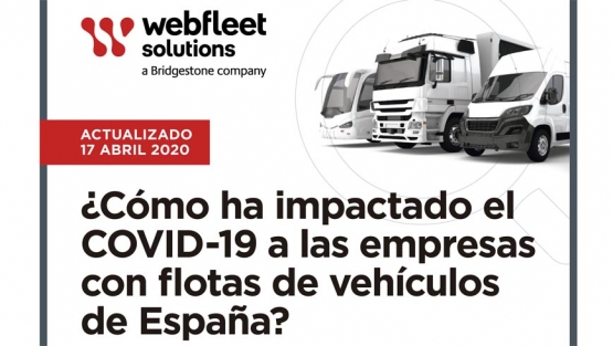 Infografía Webfleet