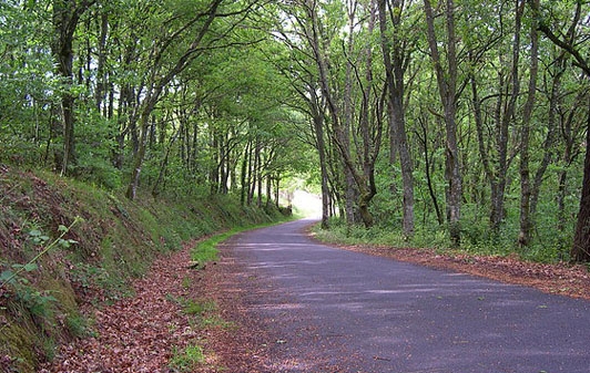 Carreteras españolas