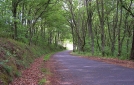 Carreteras españolas